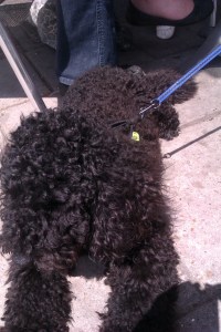 Coco and lead set me free