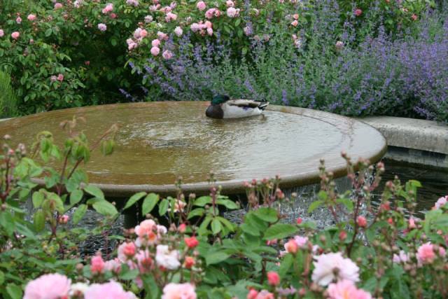 In the whirlpool of my thoughts #mindfully