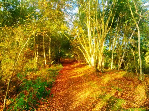 Threshold to Wonder - #mindful of the way of beauty