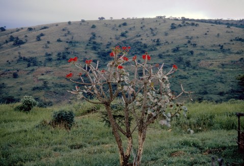 #mindfully walking anger out of your system
